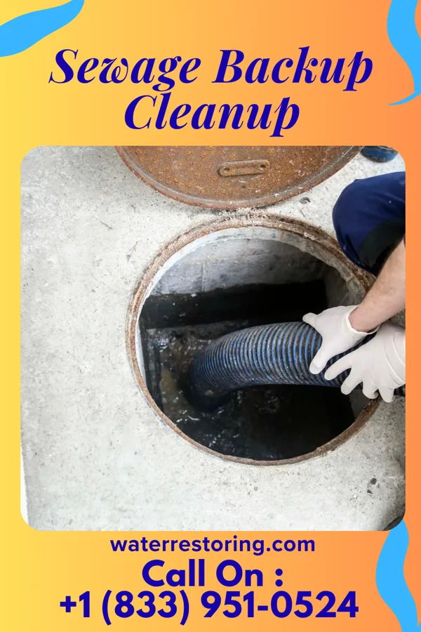 Sewage Backup Cleanup in South Bloomfield, OH
